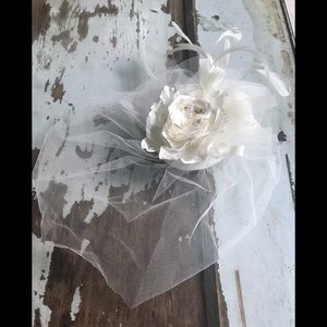 Bird Cage Veil